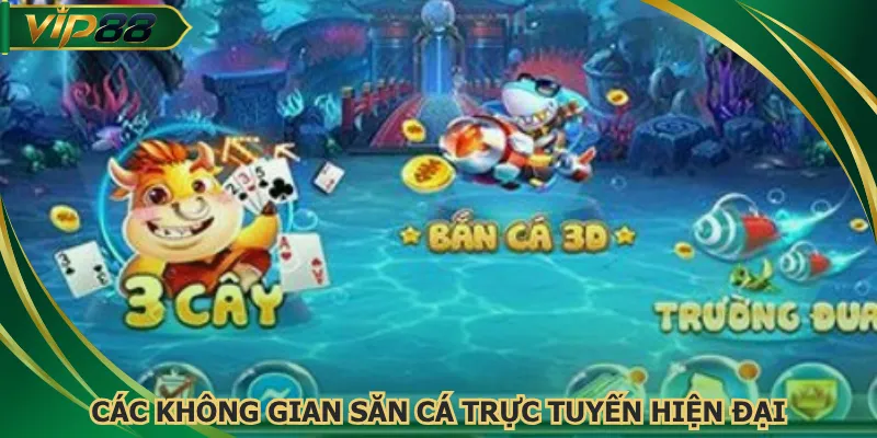 Các không gian săn cá trực tuyến hiện đại