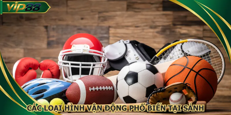 Các loại hình vận động phổ biến tại sảnh