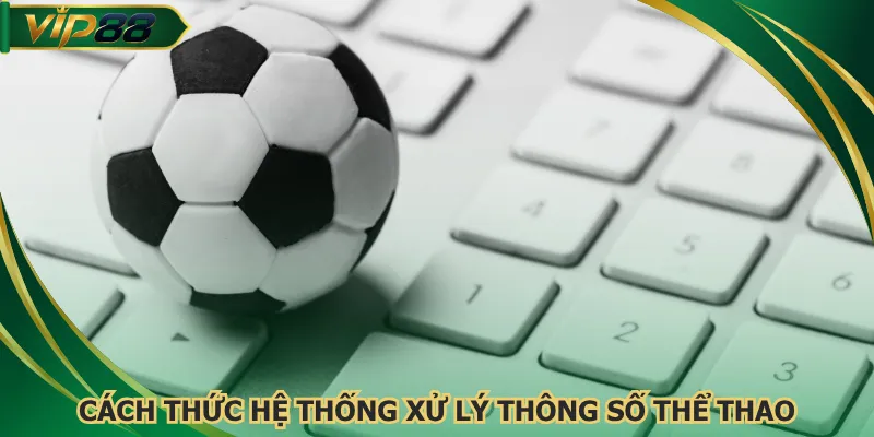 Cách thức hệ thống xử lý thông số thể thao