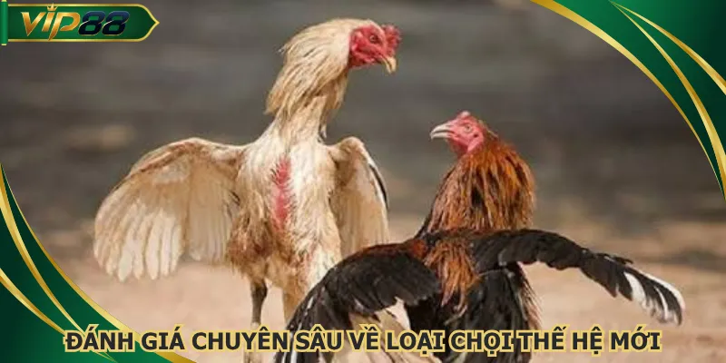Đánh giá chuyên sâu về loại chọi thế hệ mới