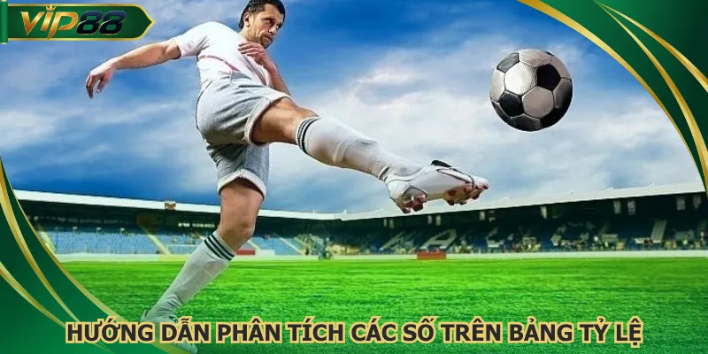 Hướng dẫn phân tích các số trên bảng tỷ lệ