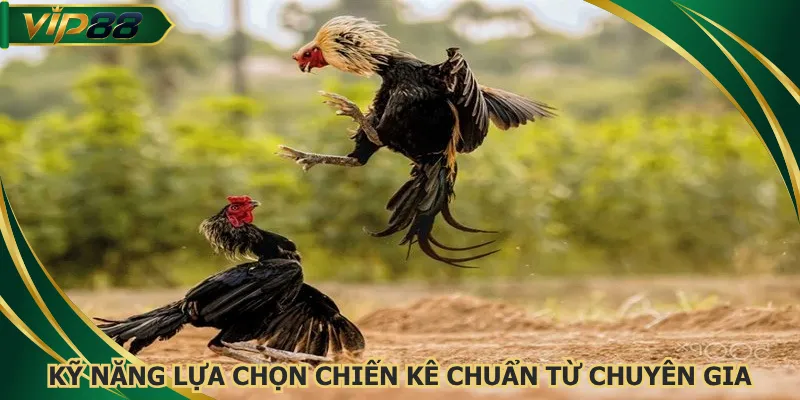Kỹ năng lựa chọn chiến kê chuẩn từ chuyên gia