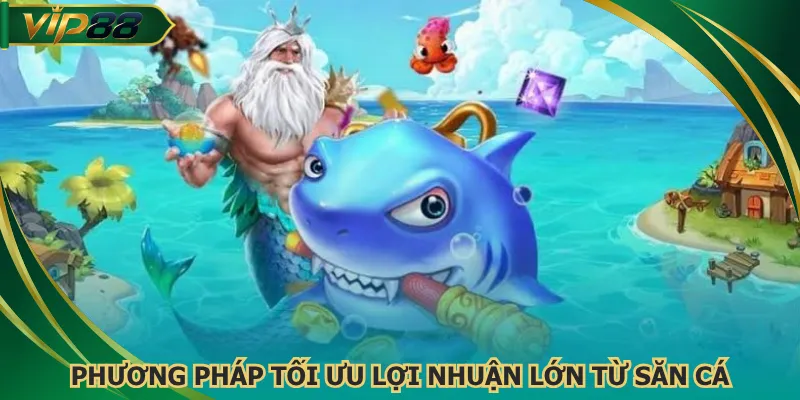 Phương pháp tối ưu lợi nhuận lớn từ săn cá