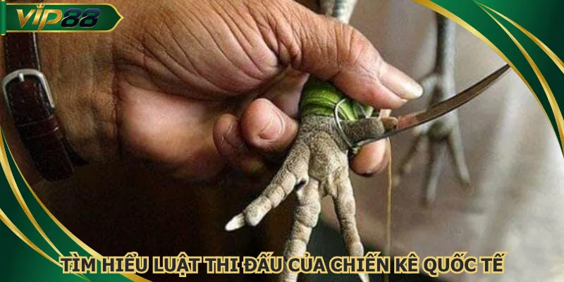 tim-hieu-luat-thi-dau-cua-chien-ke-quoc-te