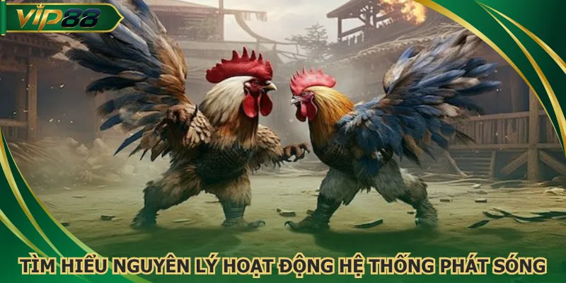 Tìm hiểu nguyên lý hoạt động hệ thống phát sóng